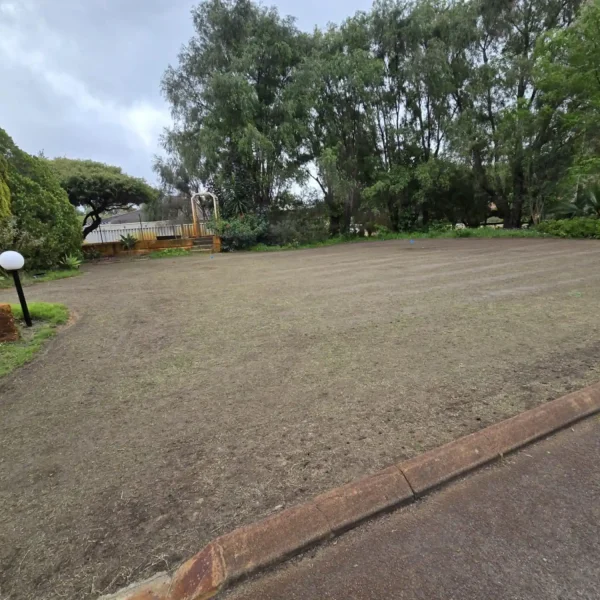 Healthy, aerated lawn maintained by Aveley Lawn Maintenance.