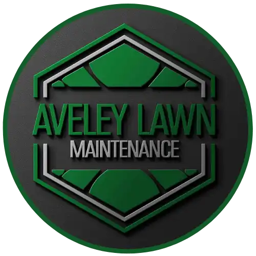 Healthy, aerated lawn maintained by Aveley Lawn Maintenance.