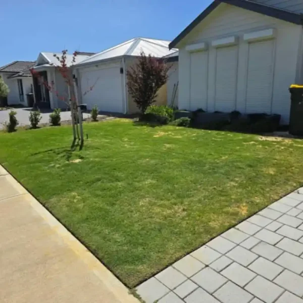 Healthy, aerated lawn maintained by Aveley Lawn Maintenance.