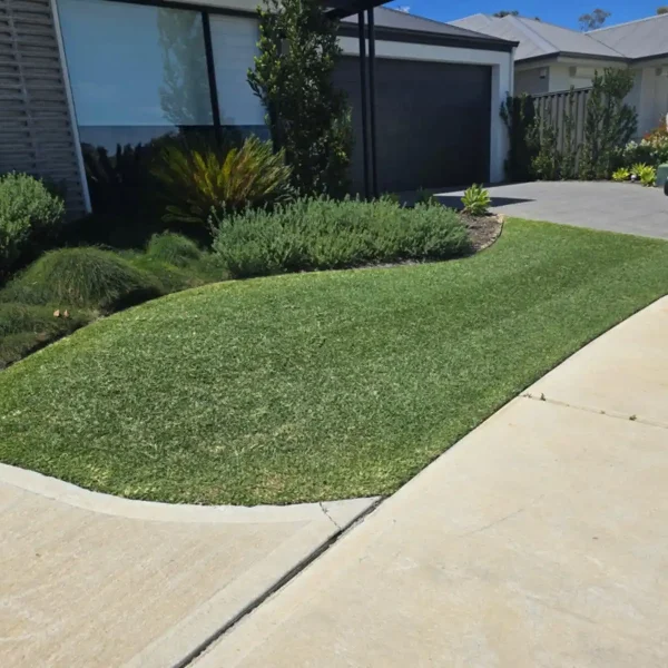 Healthy, aerated lawn maintained by Aveley Lawn Maintenance.