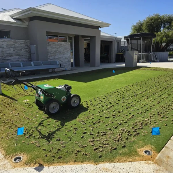 Healthy, aerated lawn maintained by Aveley Lawn Maintenance.