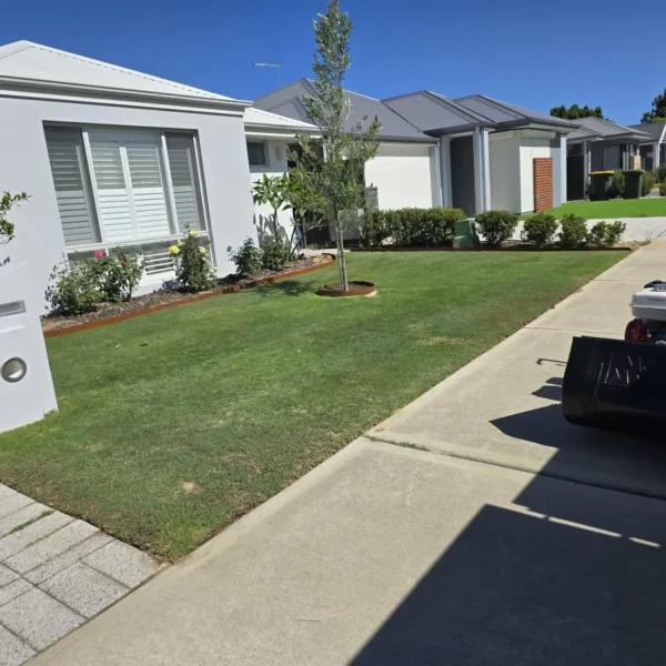 Healthy, aerated lawn maintained by Aveley Lawn Maintenance.