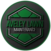 Healthy, aerated lawn maintained by Aveley Lawn Maintenance.